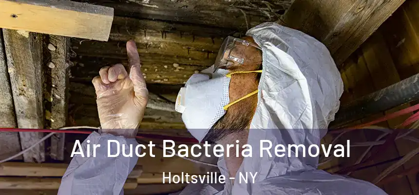  Air Duct Bacteria Removal Holtsville - NY
