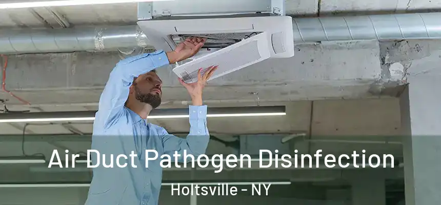 Air Duct Pathogen Disinfection Holtsville - NY