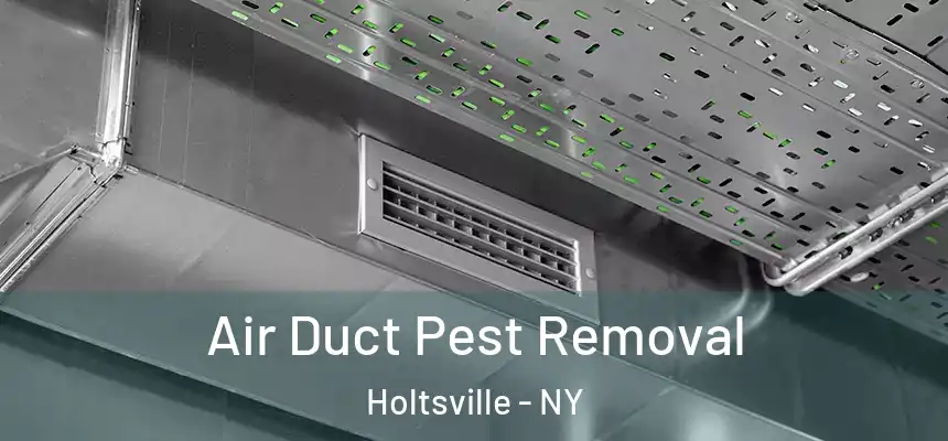  Air Duct Pest Removal Holtsville - NY
