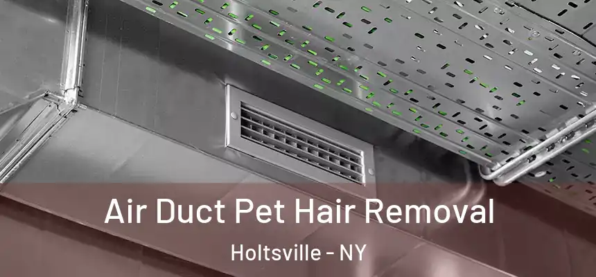  Air Duct Pet Hair Removal Holtsville - NY