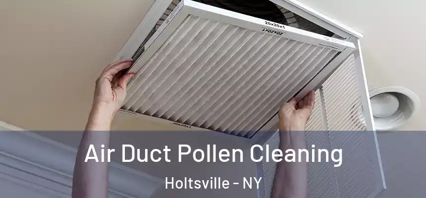  Air Duct Pollen Cleaning Holtsville - NY