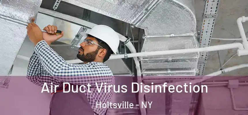  Air Duct Virus Disinfection Holtsville - NY