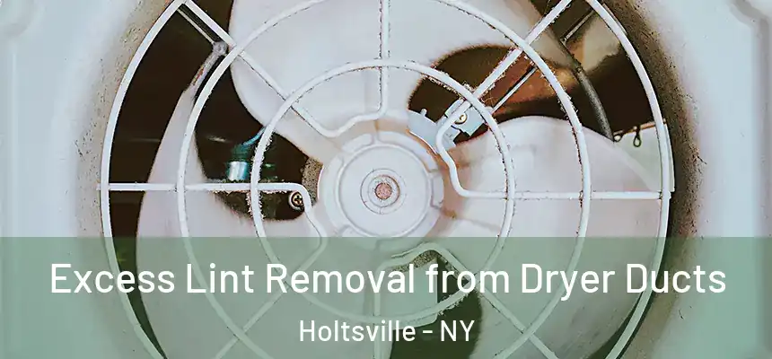 Excess Lint Removal from Dryer Ducts Holtsville - NY