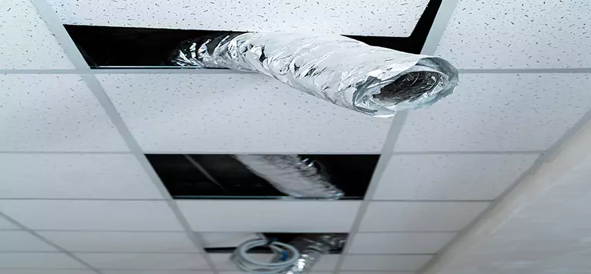 Affordable HVAC Sanitizing After Pest Removal in Holtsville