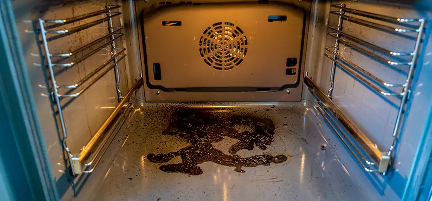 Our Dryer Vent Mold Cleaning Services in Holtsville, NY