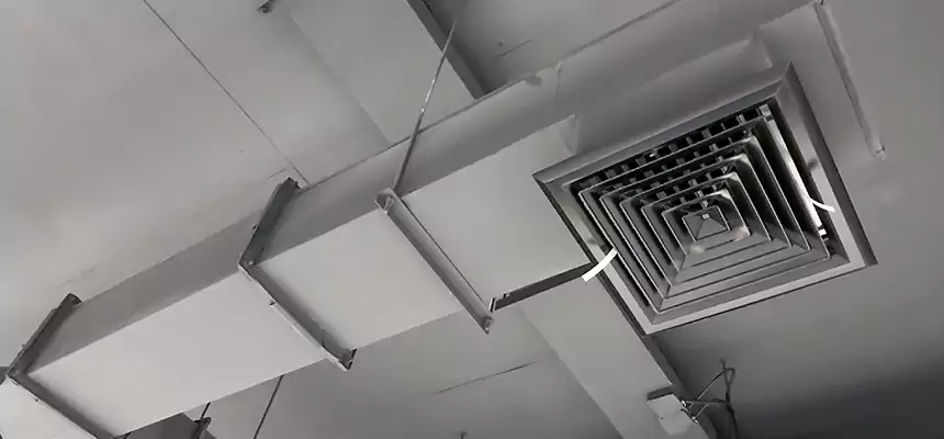 Our Rodent Droppings In Vents Services in Holtsville, NY