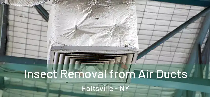 Insect Removal from Air Ducts Holtsville - NY