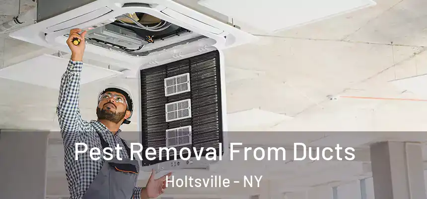  Pest Removal From Ducts Holtsville - NY