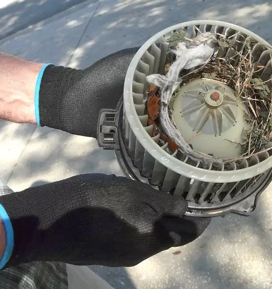 About Air Duct Rat Removal in Holtsville, NY