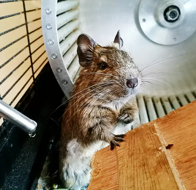 Why Homeowners & Businesses Trust Us Holtsville, NY