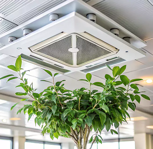 Why Homeowners & Businesses Trust Us in Holtsville, NY