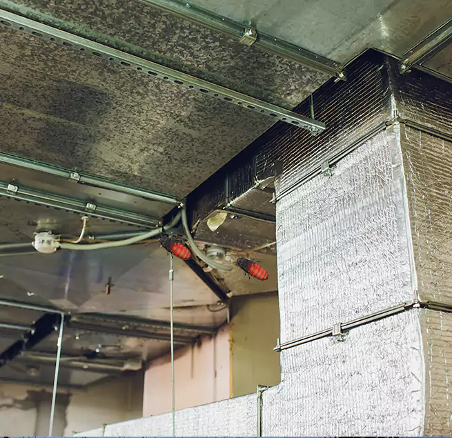 Why Homeowners & Businesses Trust Us Holtsville, NY?